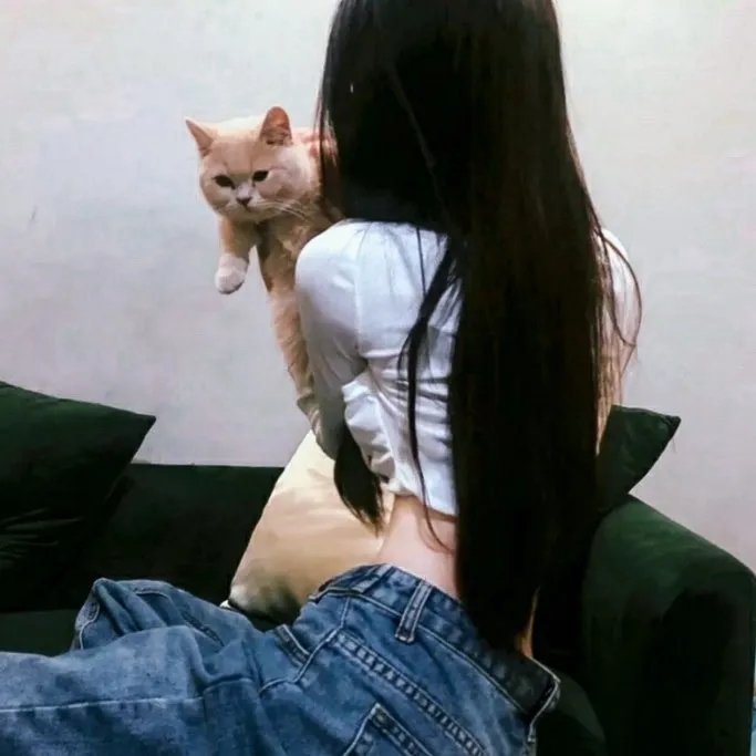 瞒天过海2：长驱直入